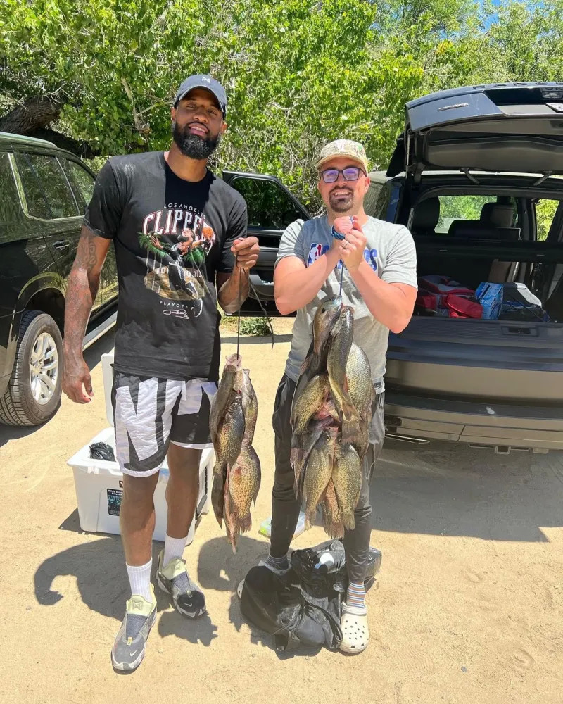 切尔西面对 切尔西面对