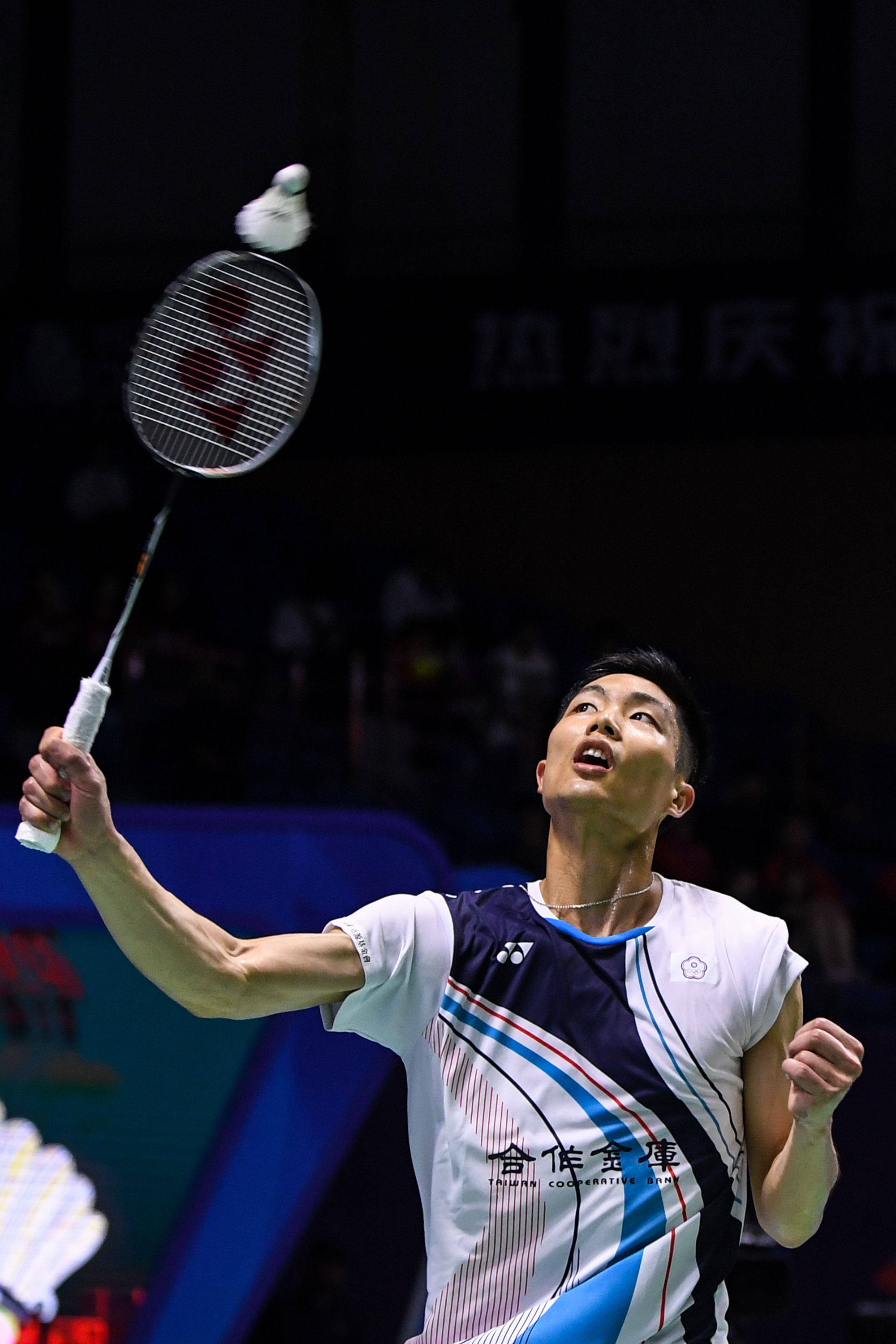 作为权衡摆 作为权衡摆