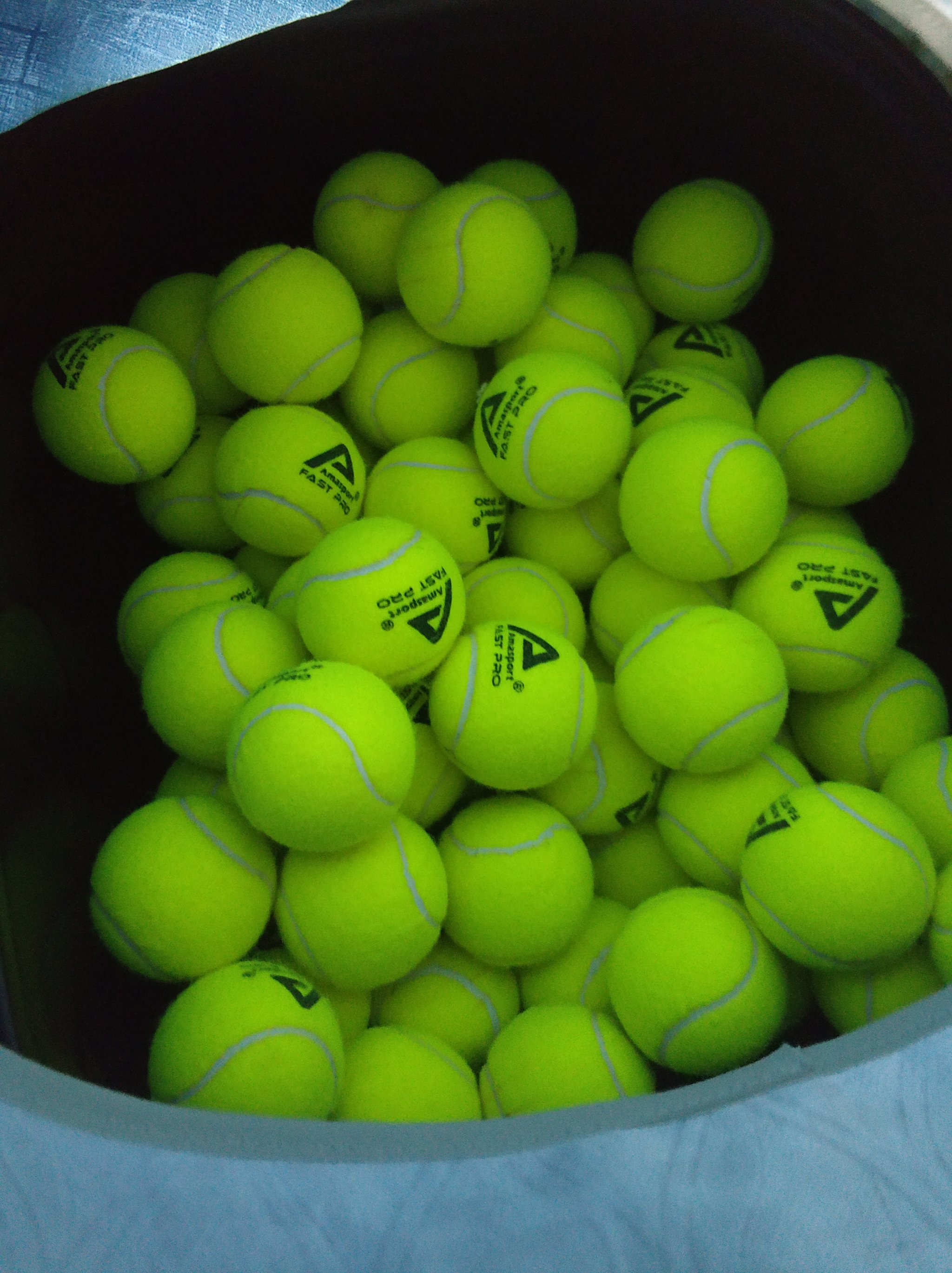 力量与柔韧 力量与柔韧